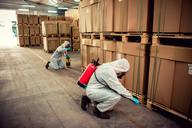 Best Wildlife Control Services  in Pelican Rapids, MN