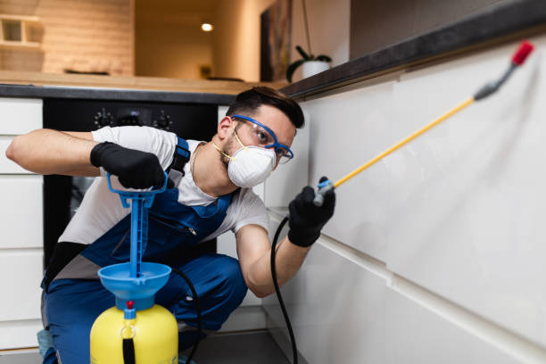 Best Flea Control Services  in Pelican Rapids, MN