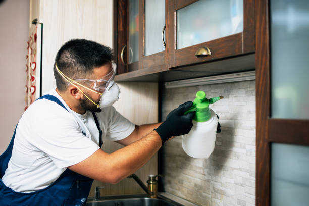 Best Bed Bug Extermination  in Pelican Rapids, MN