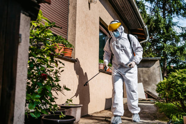 Flea Control Services in Pelican Rapids, MN