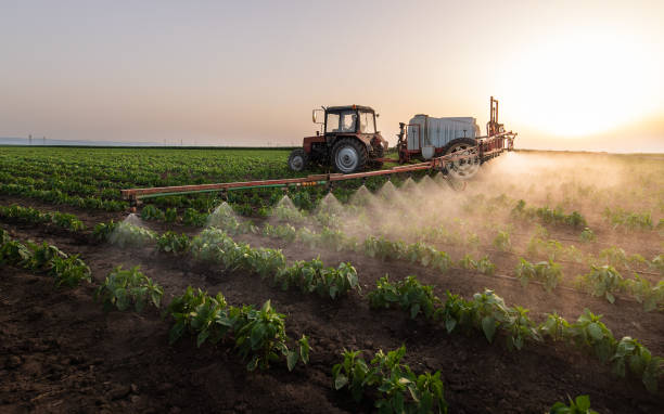 Best Pest Prevention Services  in Pelican Rapids, MN