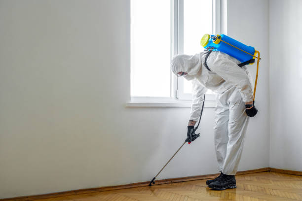 Best Wildlife Control Services  in Pelican Rapids, MN