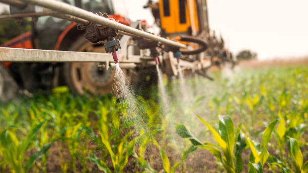 Best Best Pest Control Companies  in Pelican Rapids, MN